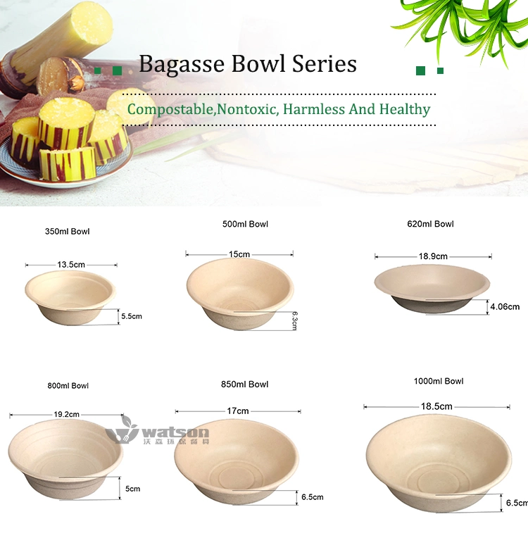 Embossing Customized 12oz 16oz 24oz 32oz Compostable Food Container Ecp Friendly Sugarcane Bagasse Biodegradable Salad Soup Bowls with Paper Lid